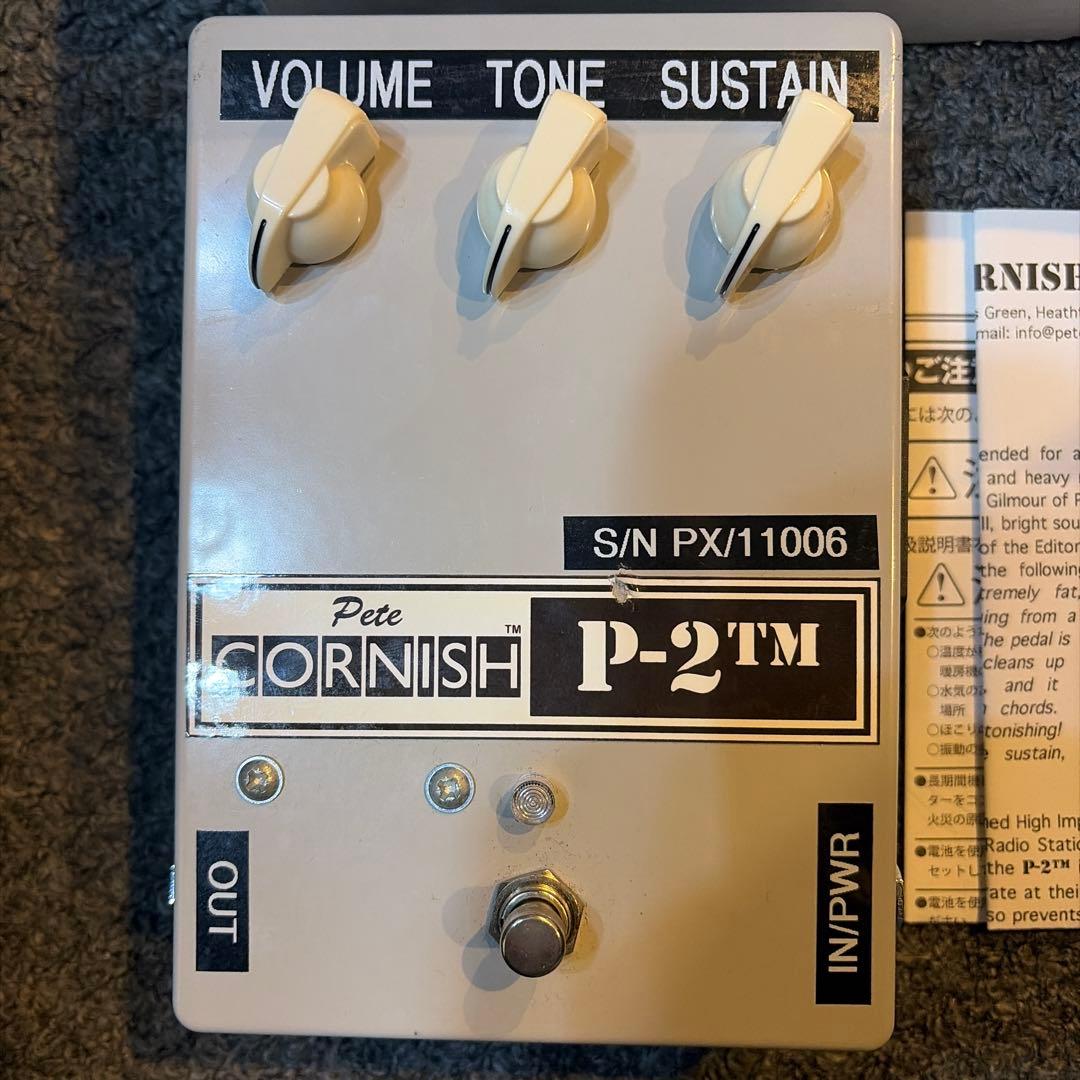 ギター Pete Cornish P-2