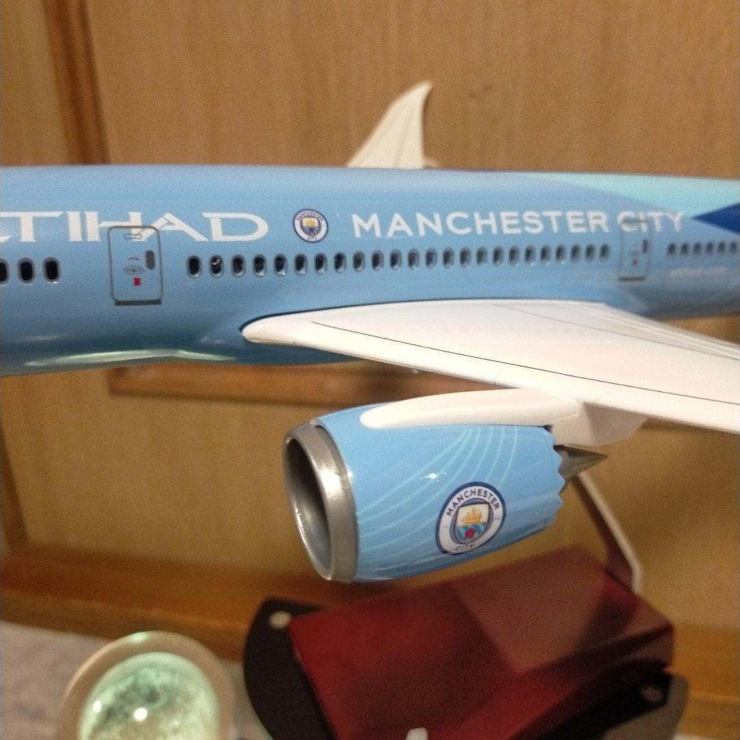 ろくさん専用プレミアリーグ／マンチェスターシティ