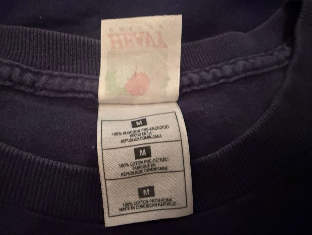 Hi-STANDARD 1999年ツアーTシャツ ネイビー　超レア⭐︎✴︎