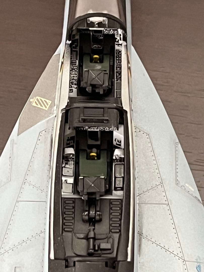 Hasegawa 1/48 F/A-18F SUPER HORNET 完成品