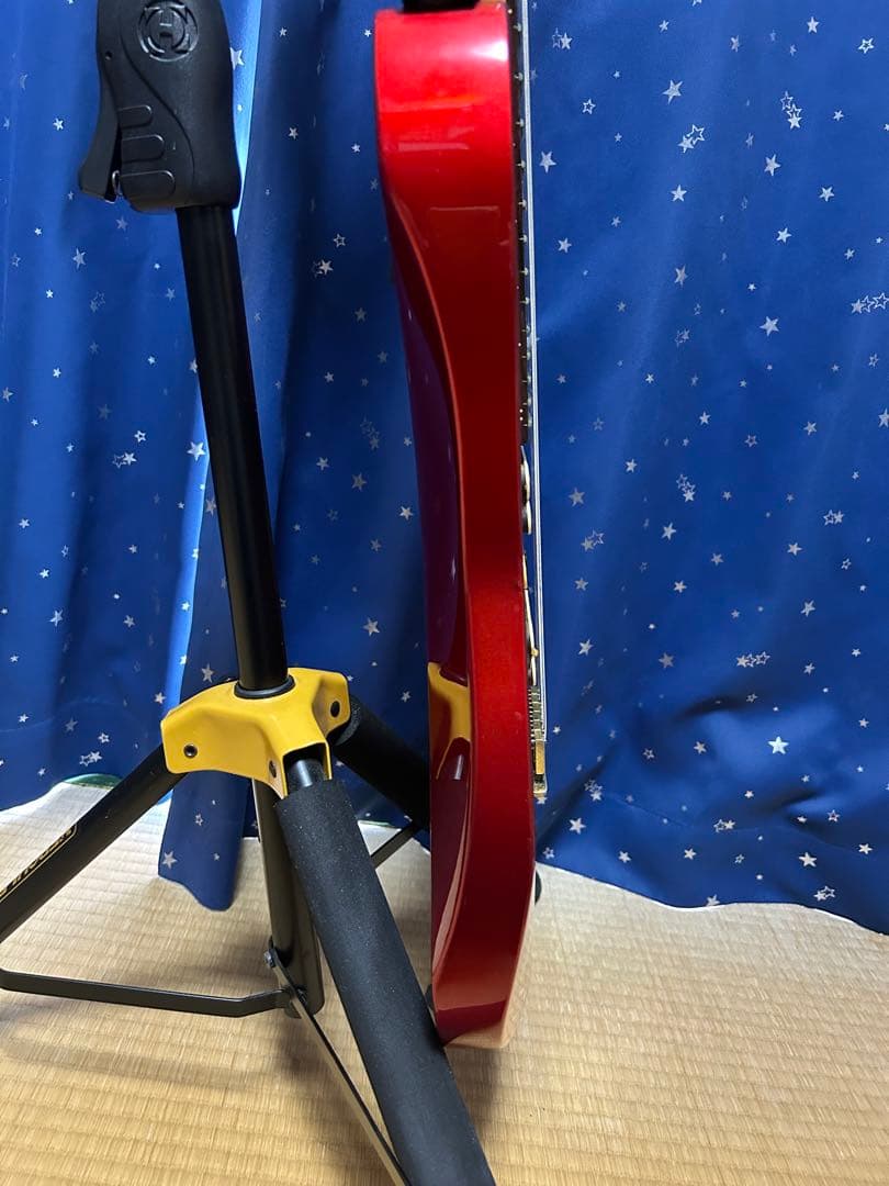 Ibanez アイバニーズ PGM500 ポールギルバート