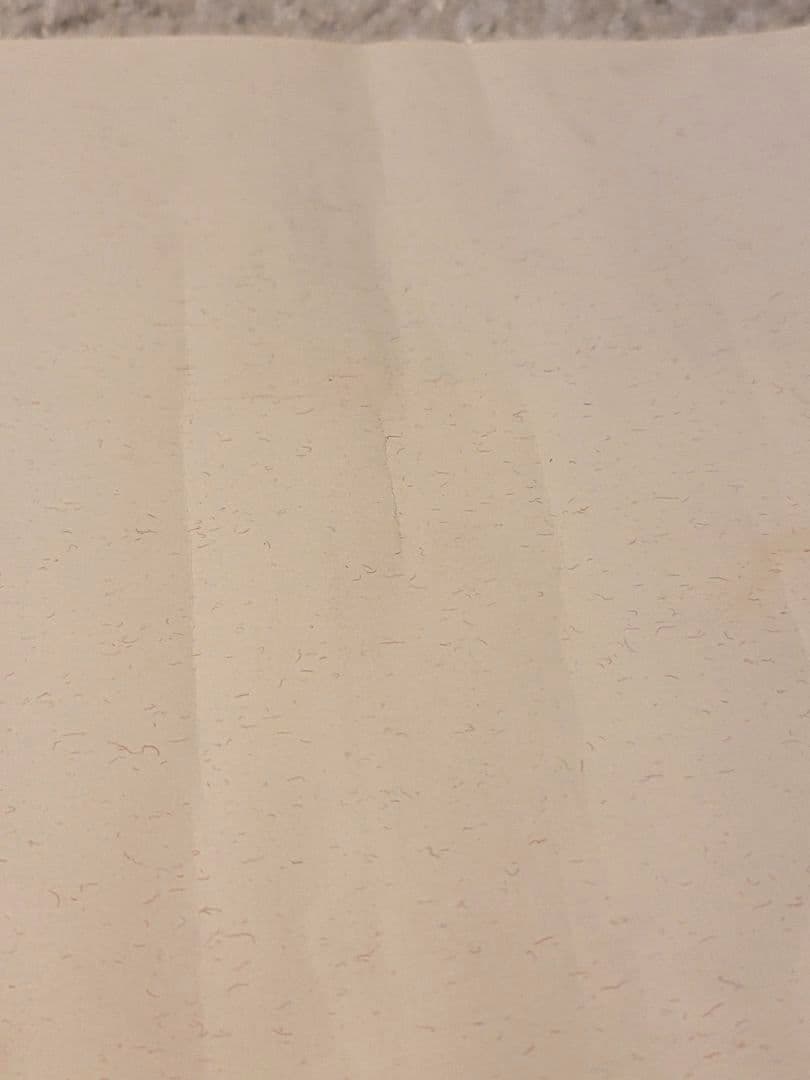 天空の城ラピュタ　ポスター［C］