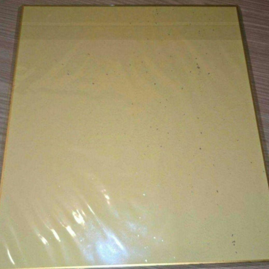 鬼滅の刃 柱稽古 DVD 購入特典 描き下ろし 色紙 冨岡義勇