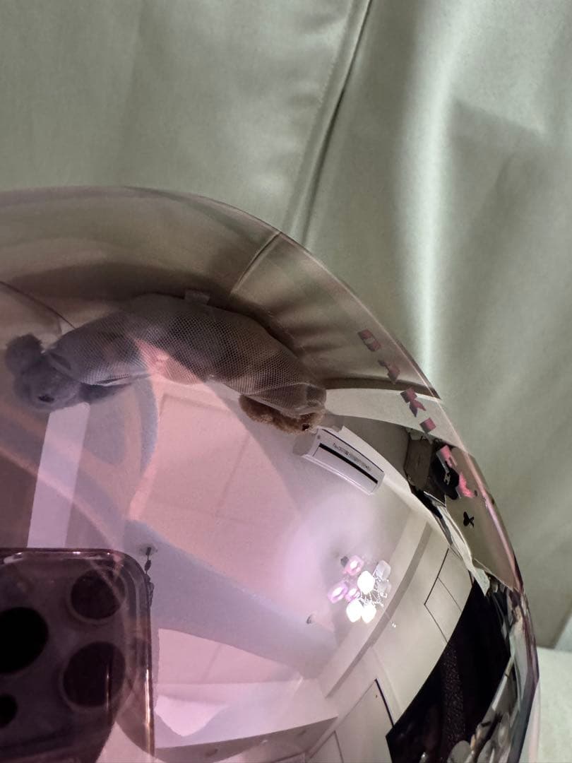 本日限定値下げ★オークリー　プリズム　ピンクレンズ流線型ゴーグル