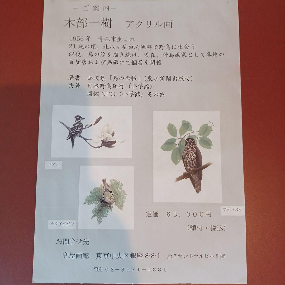 野鳥画家「木部一樹」アクリル画　うそ