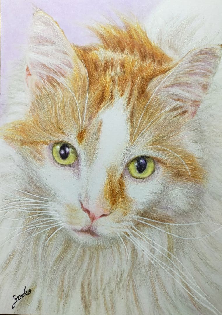 専用　色鉛筆画　絵画　原画　愛猫　似顔絵　オーダーページです