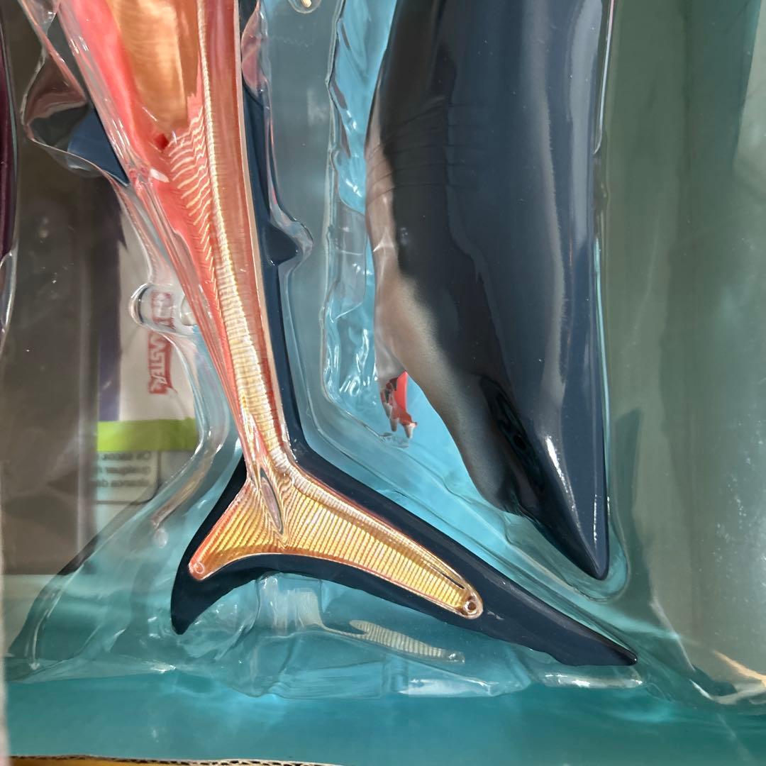 4Dビジョン ホホジロザメ 解剖モデル Great White Shark