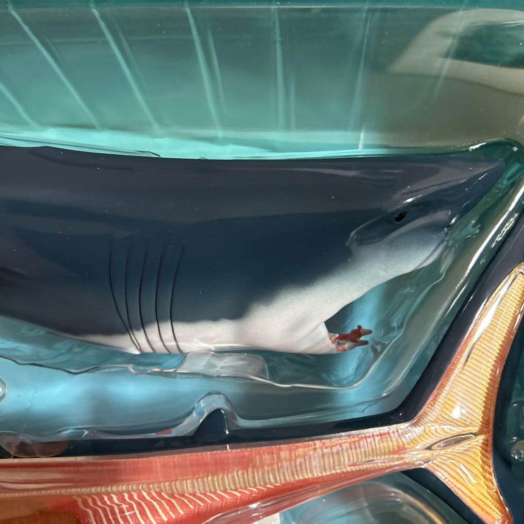 4Dビジョン ホホジロザメ 解剖モデル Great White Shark