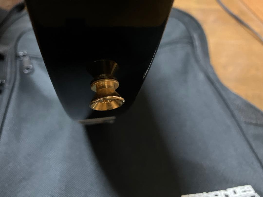 SELFISH 美品 MG-145Sサイケデリックペイント hideモデル