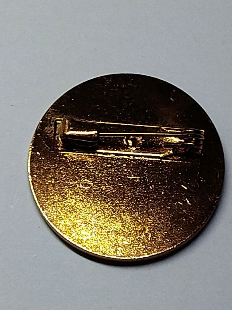 ポケモンリーグ　レインボーバッジ　※バッジのみ