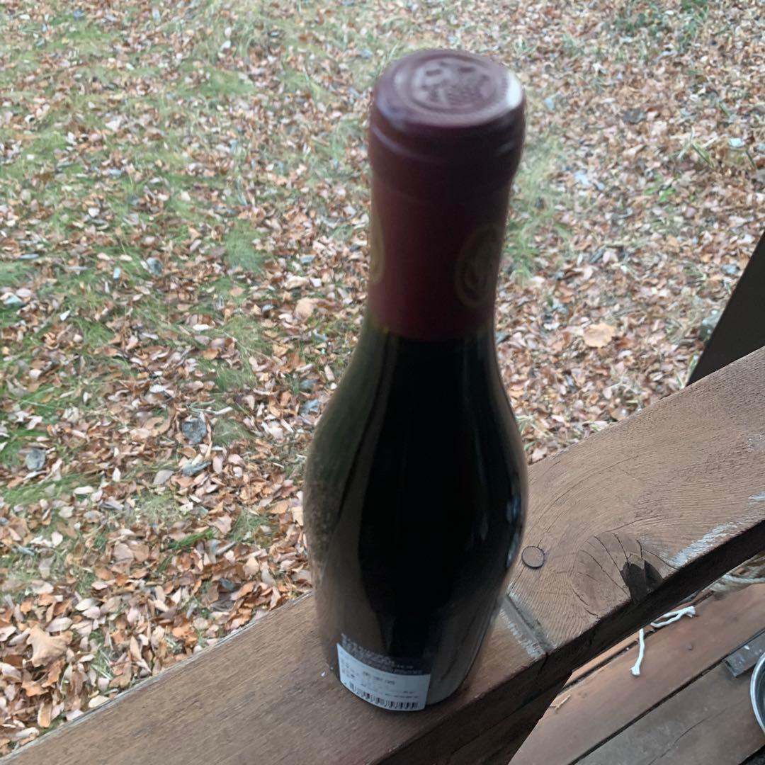 ブランガニャール　ヴォルネイ レ　ピュテール　2020