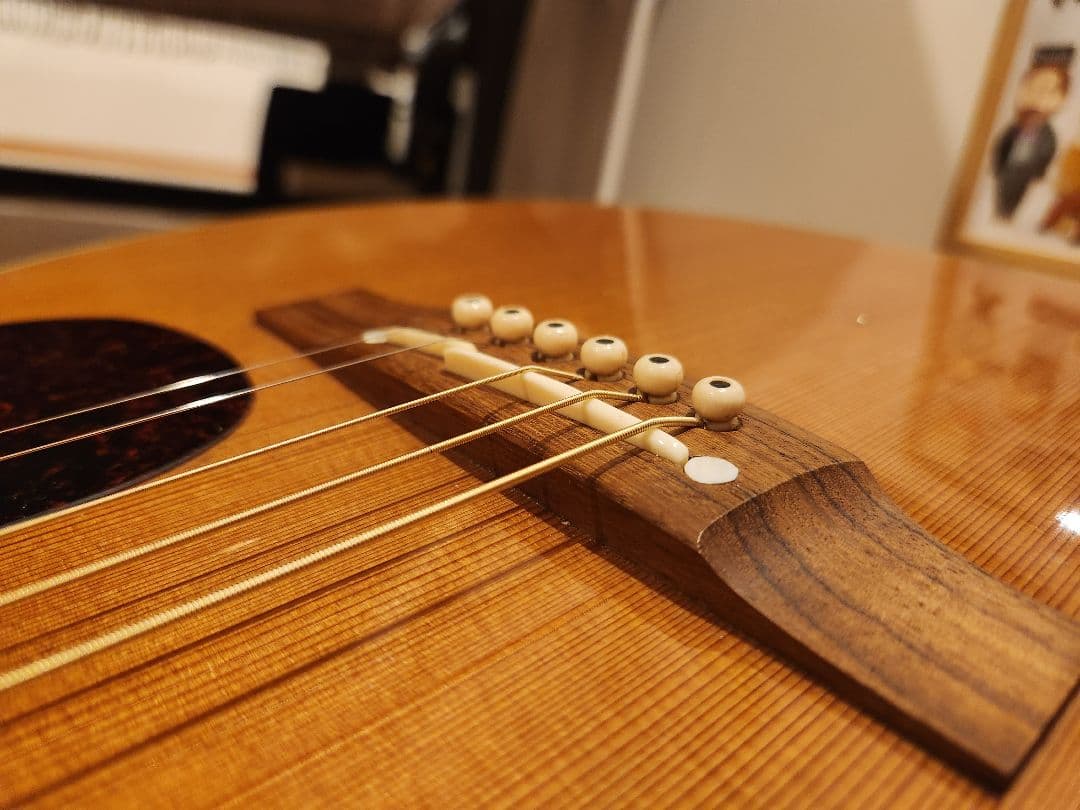 ギター Takamine PTU731KC N