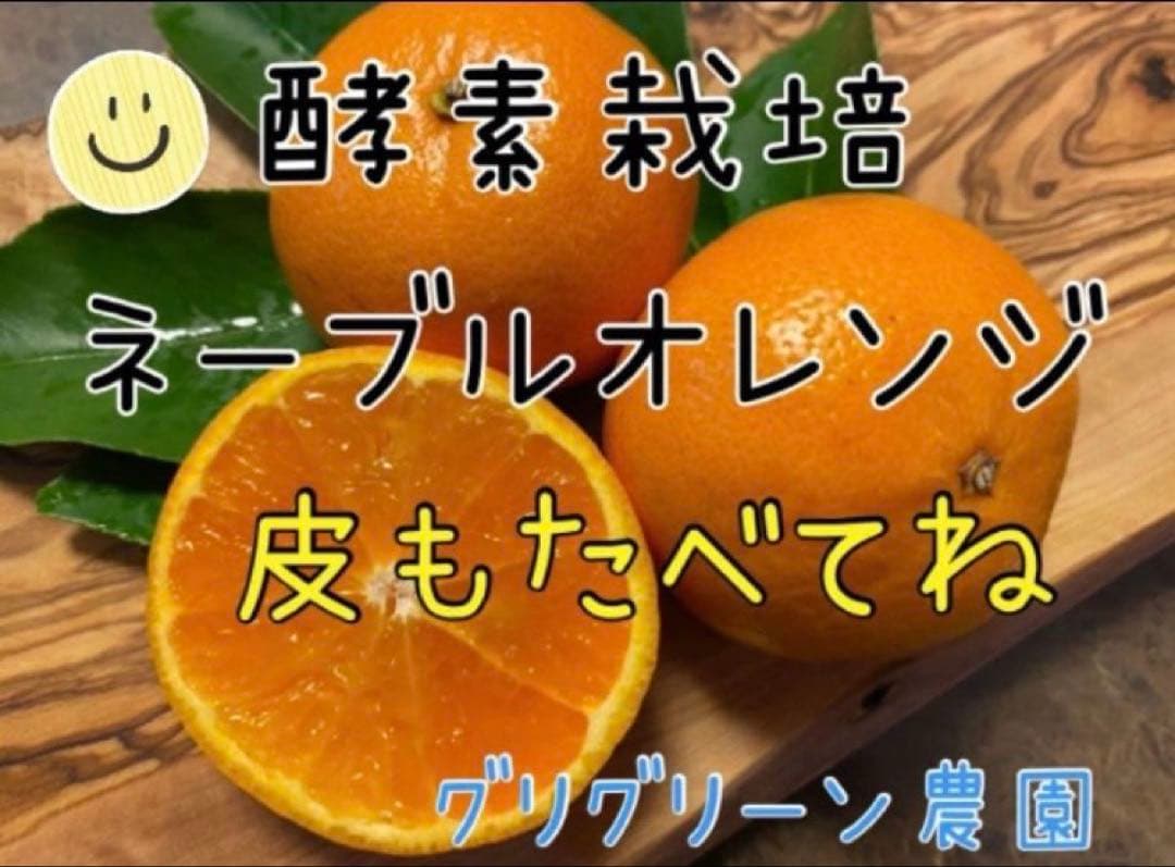 あん様♡酵素栽培　小粒ちゃん　ネーブル 瀬戸田　広島県　皮も食べて　農園直送5㌔