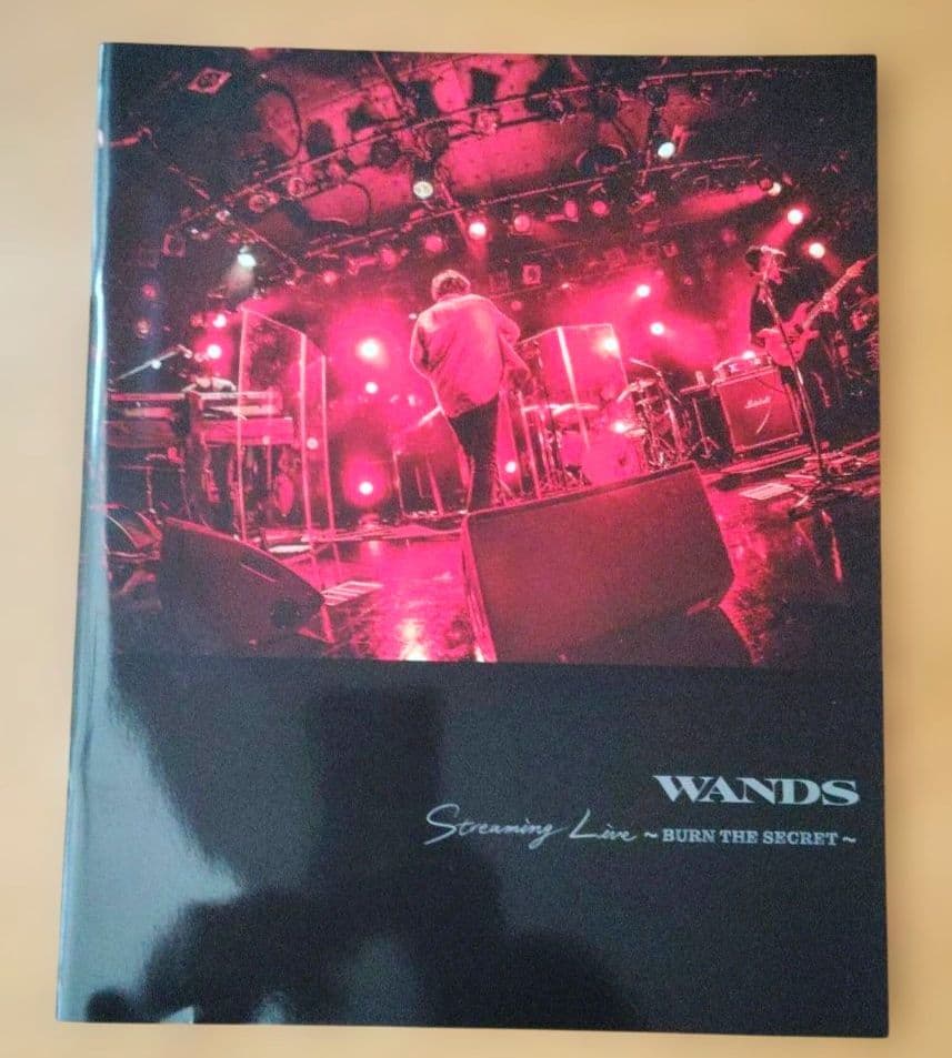 WANDS （第5期）ライブフォトブック ２冊セット　上原大史