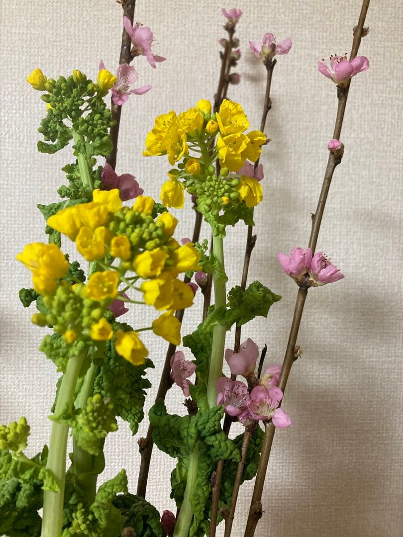 だいこんやくしゃさま専用