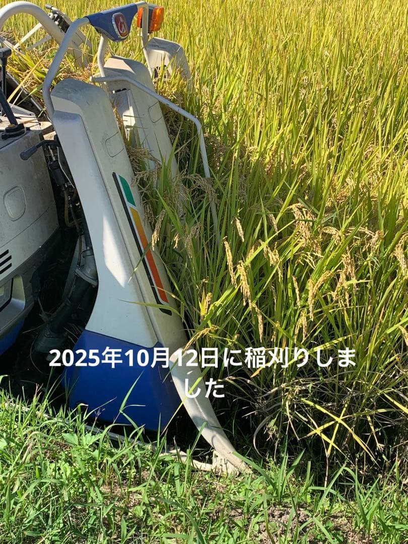 令和7年度産　新米ヒノヒカリ　玄米10kg(送料込)減農薬のお米