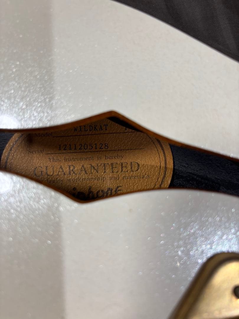 Epiphone WILDKAT 純正ケース付き