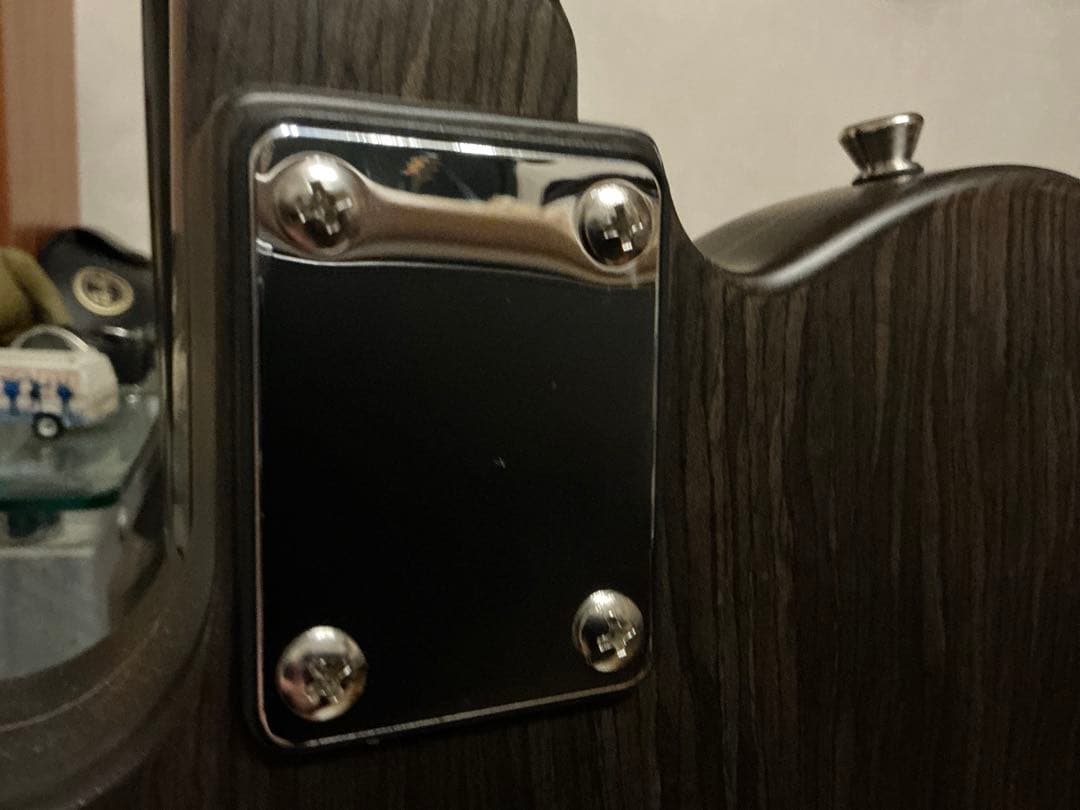 Bacchus BTE-TW オールローズ風 テレキャスター ジョージハリスン