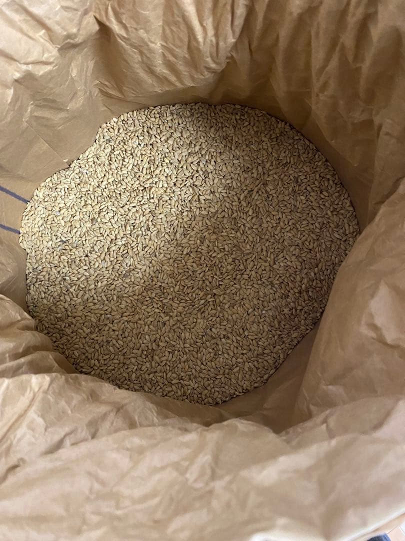 もみ米　20kg 茨城県さん