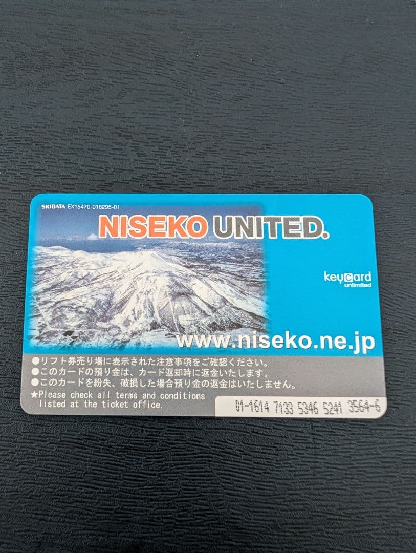 ニセコアンヌプリ　５０時間券　残り３２時間