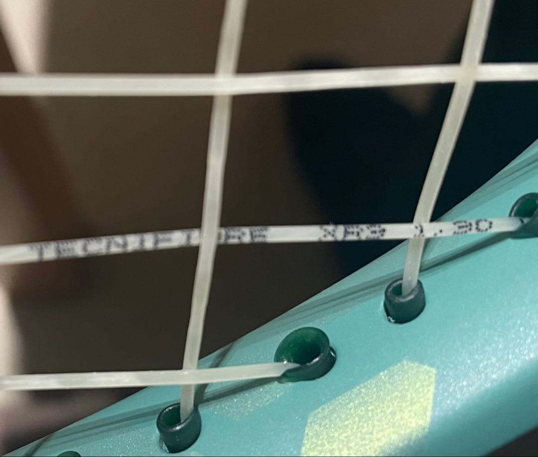 ヨネックス YONEX PERCEPT(パーセプト) 100 「G2」