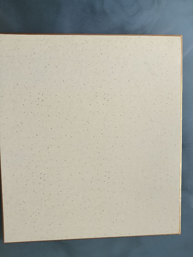 WBC世界ライトフライ級チャンピオン井上尚弥直筆サイン色紙新品未使用