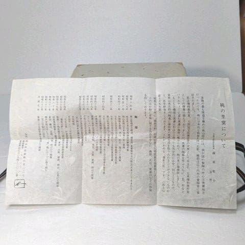 茶道具　抹茶茶碗 　(鼡志野) 藤原 一門