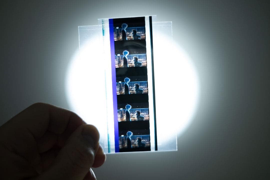 涼宮ハルヒの消失　フィルム　劇場特典　配布品　非売品