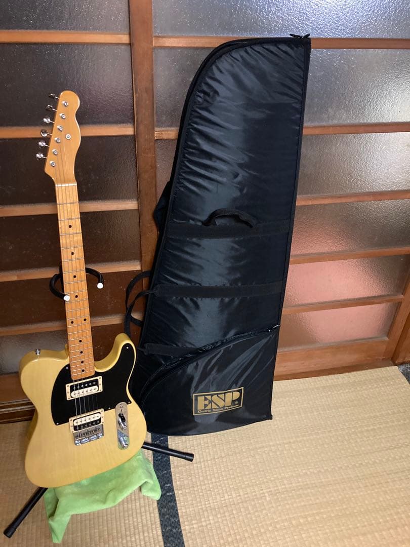 テレギブ！Seymour Duncan搭載　ほぼ新品