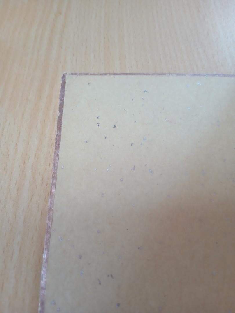 V9時代　王貞治直筆サイン色紙