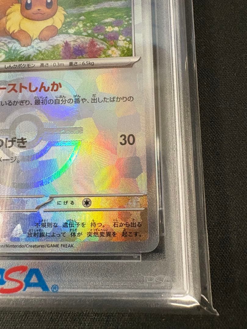 【PSA10】イーブイ マスボミラー （125/187） [sv8a]