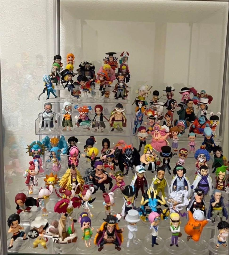 ワンピース　ワンピの実　113個