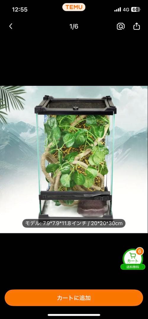 爬虫類・両生類飼育用ガラスケース 20*20*30cm