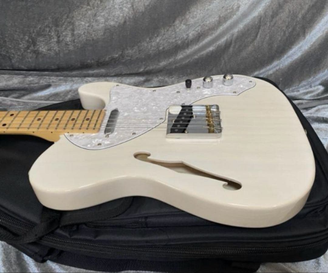 FUJIGEN NTE10MAHT テレキャスターシンライン 国産本格モデル