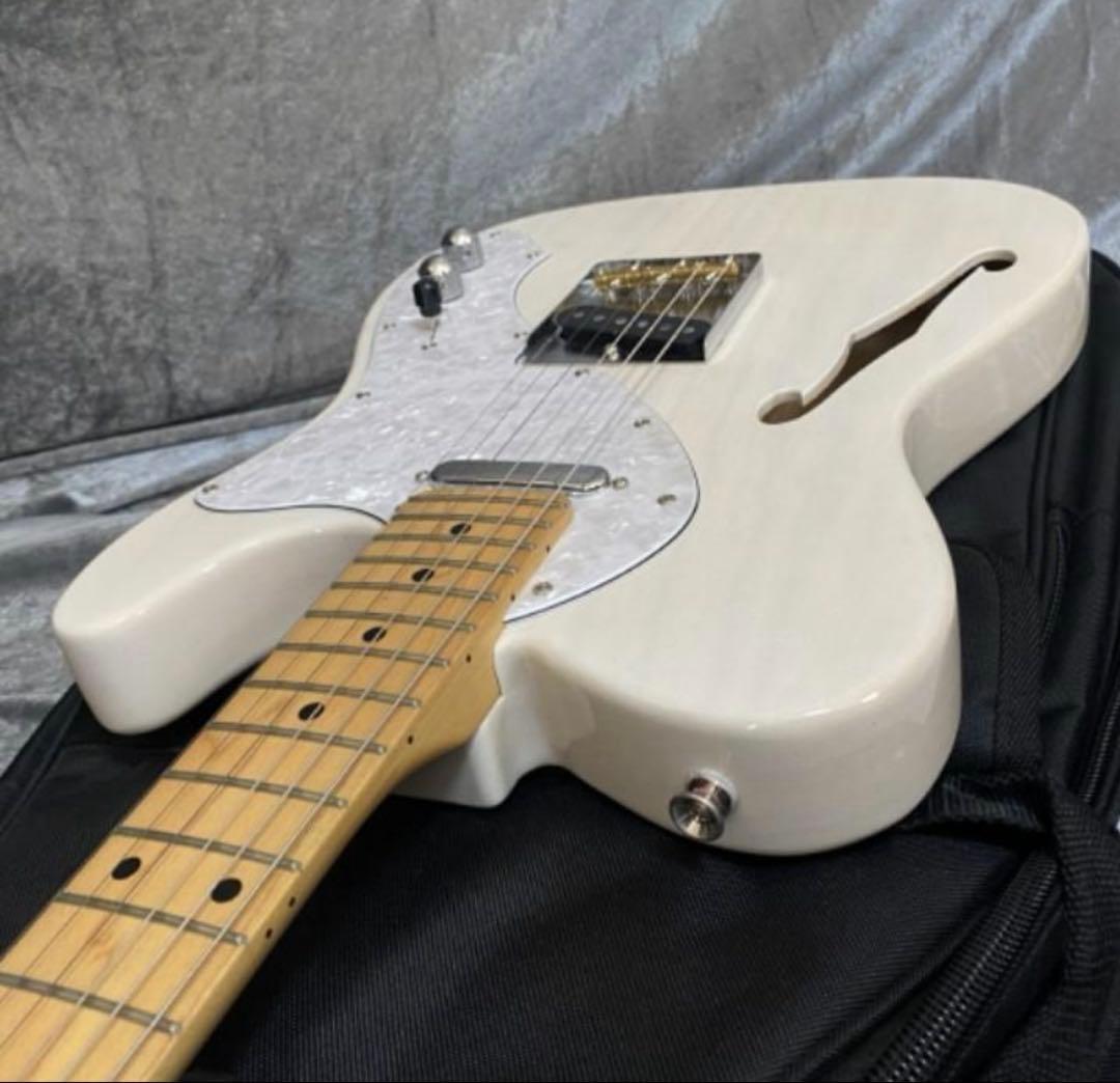 FUJIGEN NTE10MAHT テレキャスターシンライン 国産本格モデル