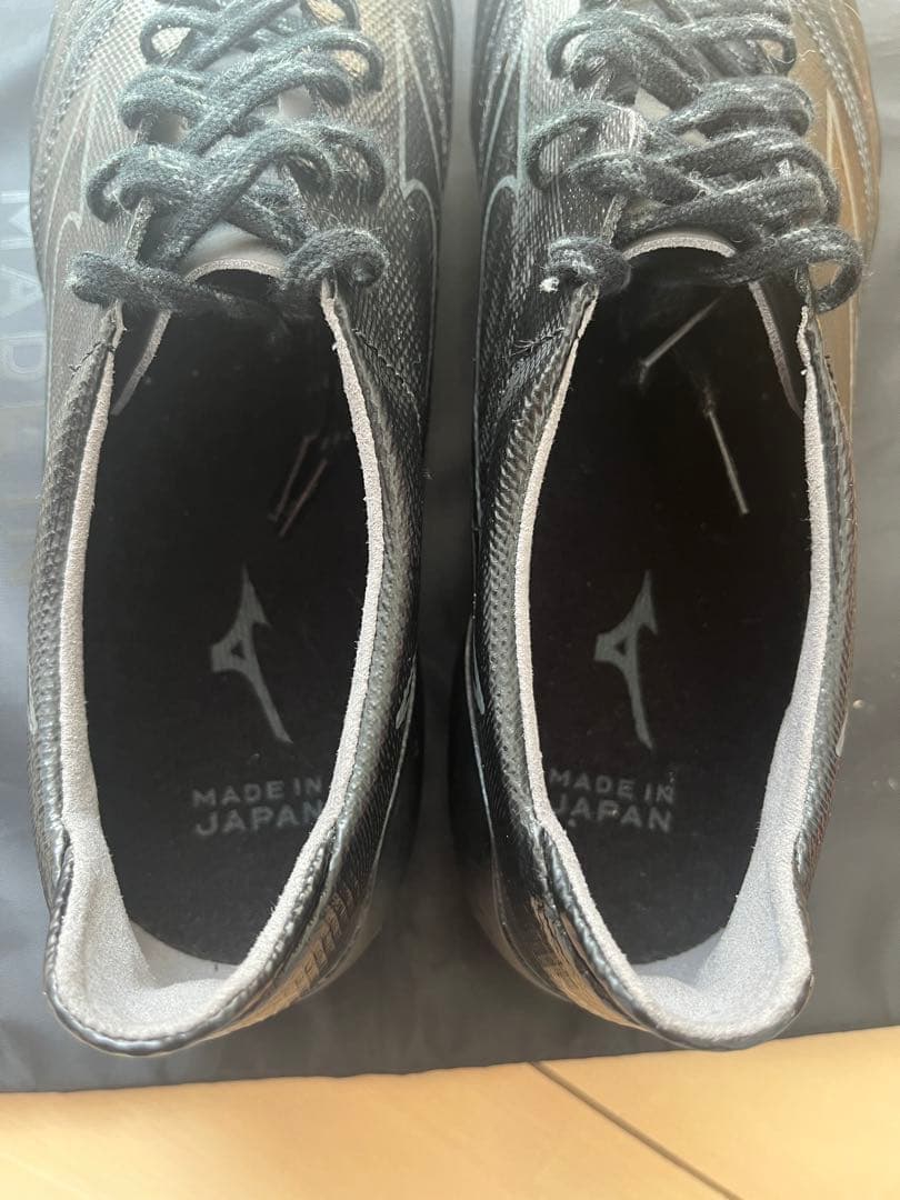 モレリアネオ2β