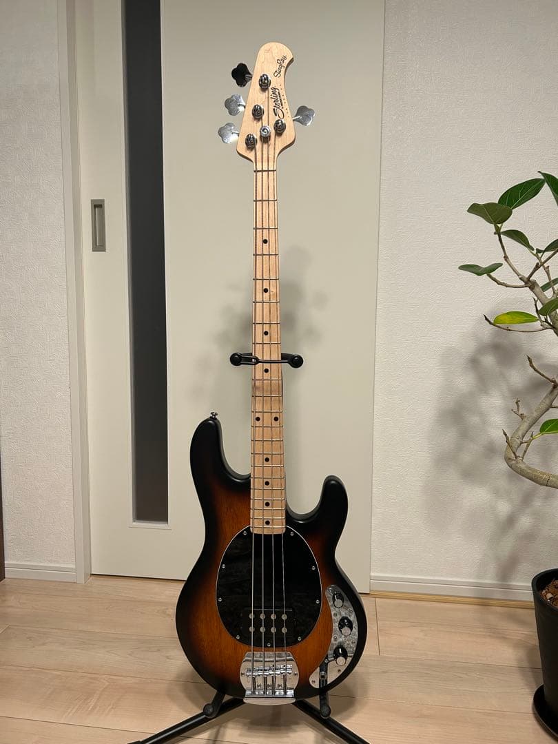 ベース Sterling by MUSICMAN S.U.B. Series Ray4