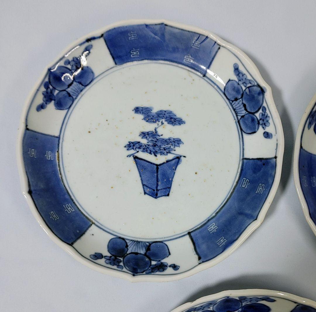 古伊万里、盆栽図六寸皿　５枚