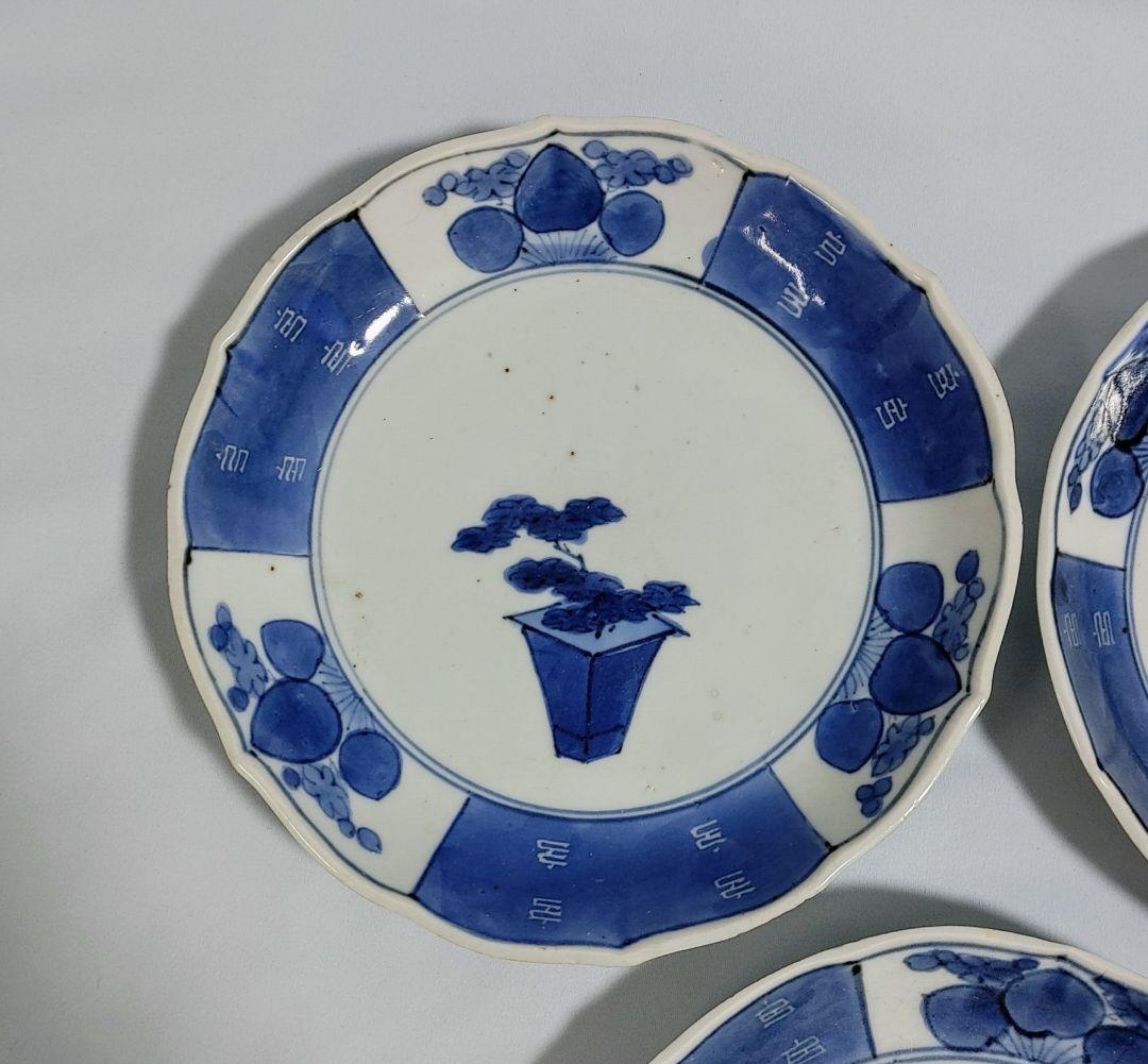 古伊万里、盆栽図六寸皿　５枚