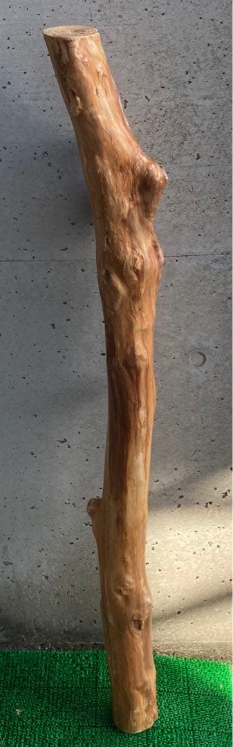 希少　樹齢150〜200年　杉枝　約126cm 鑑賞　庭　インテリア 骨董　華道