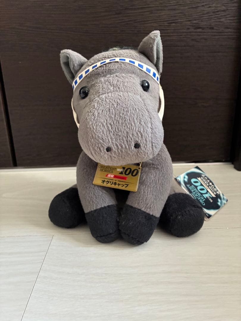 オグリキャップ　アイドルホース