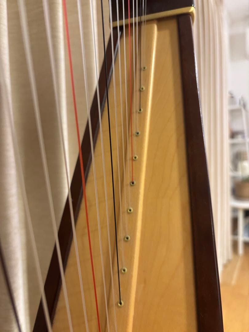 青山ハープ 34弦 130DB 弦楽器