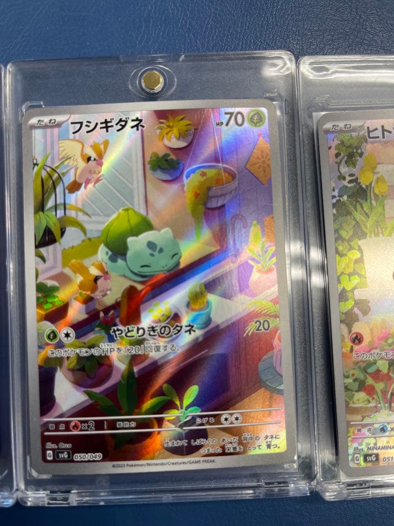 御三家　AR ゼニガメ　フシギダネ　ヒトカゲ