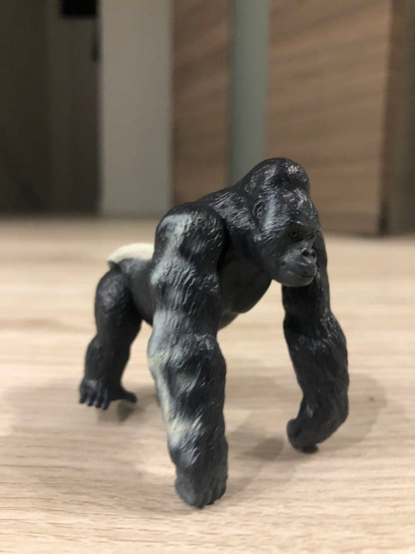 アニア　シルバ