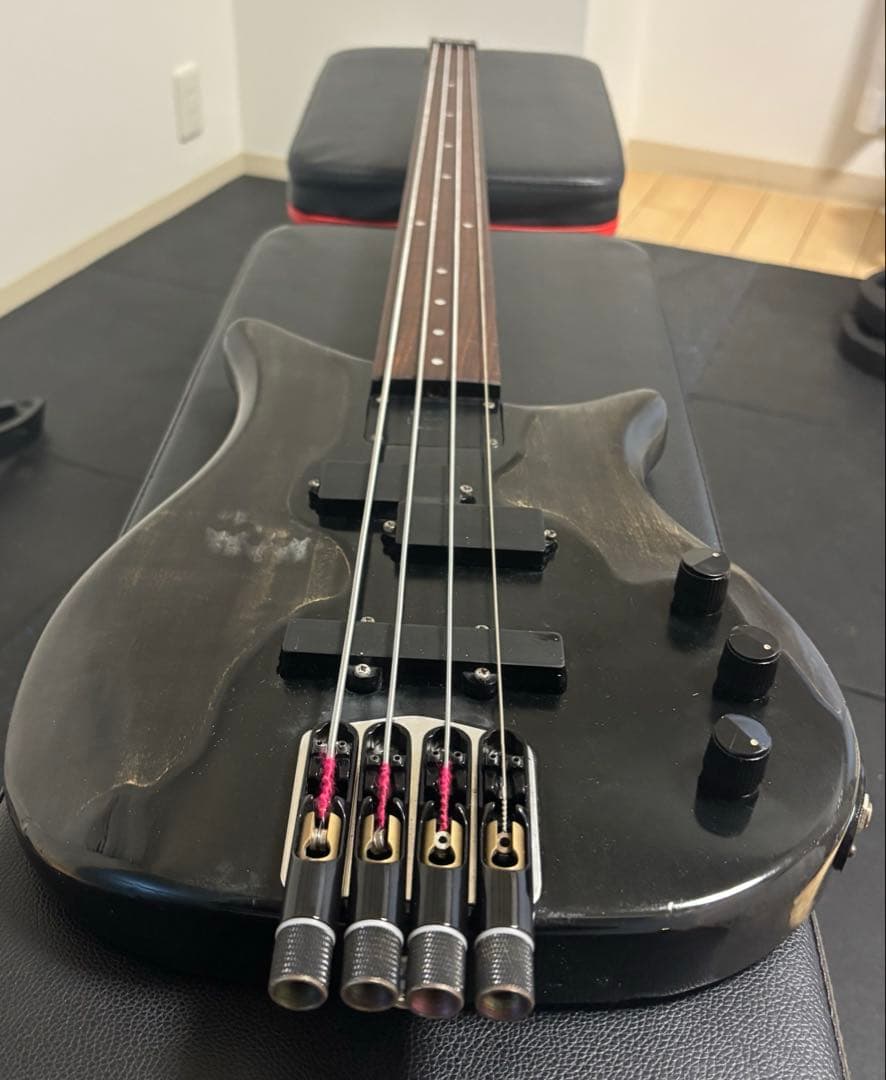Fernandes FRB-55 ヘッドレス_フレットレスベース唯一無二
