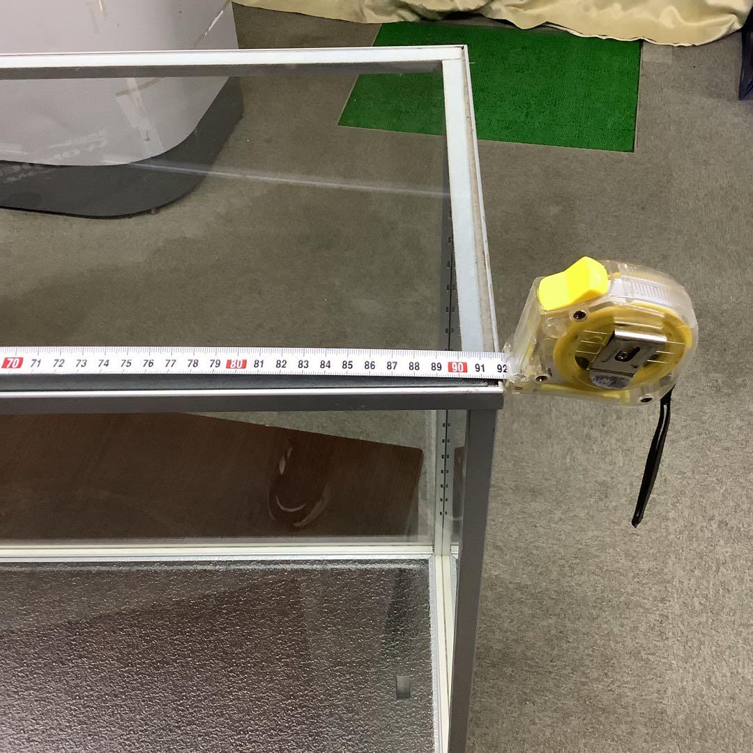 イトウ　剥製　　　魚類 標本 木製スタンド・ショーケース付き