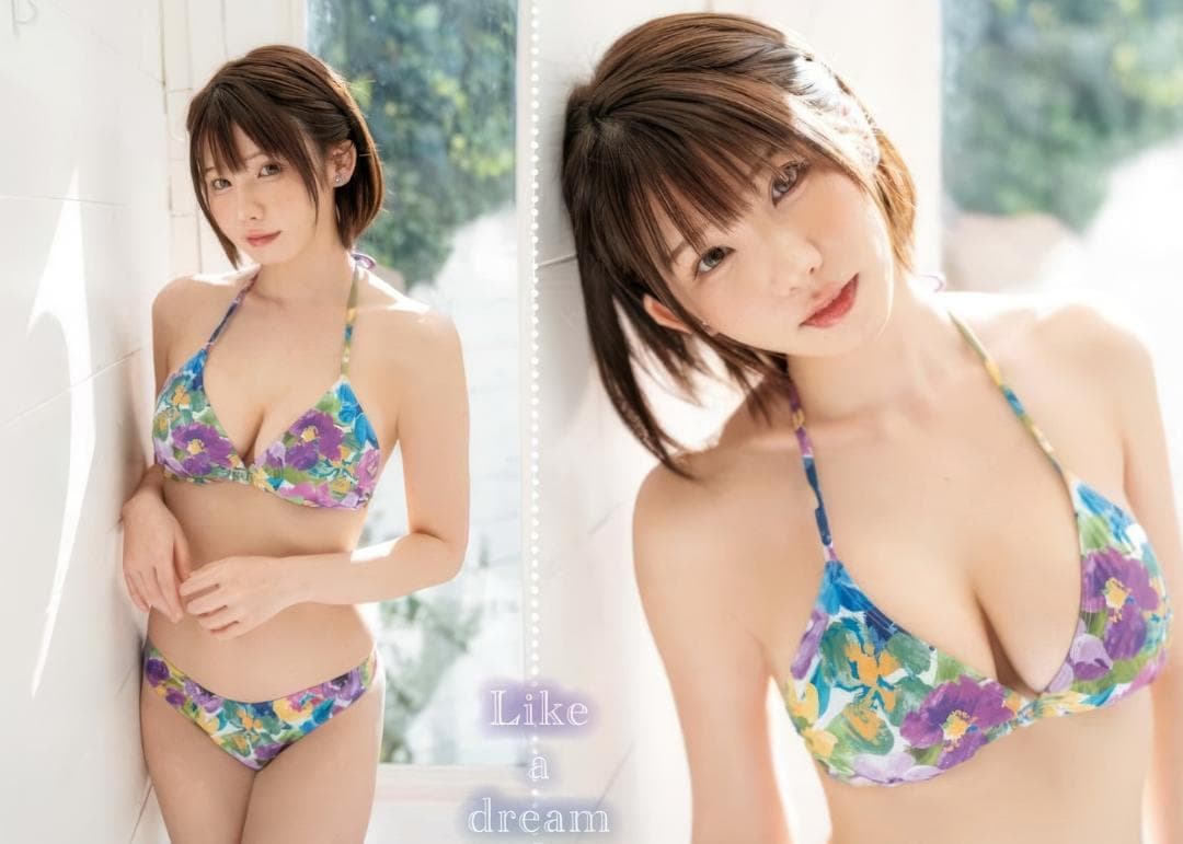 えなこA4サイズピンナップ12枚組