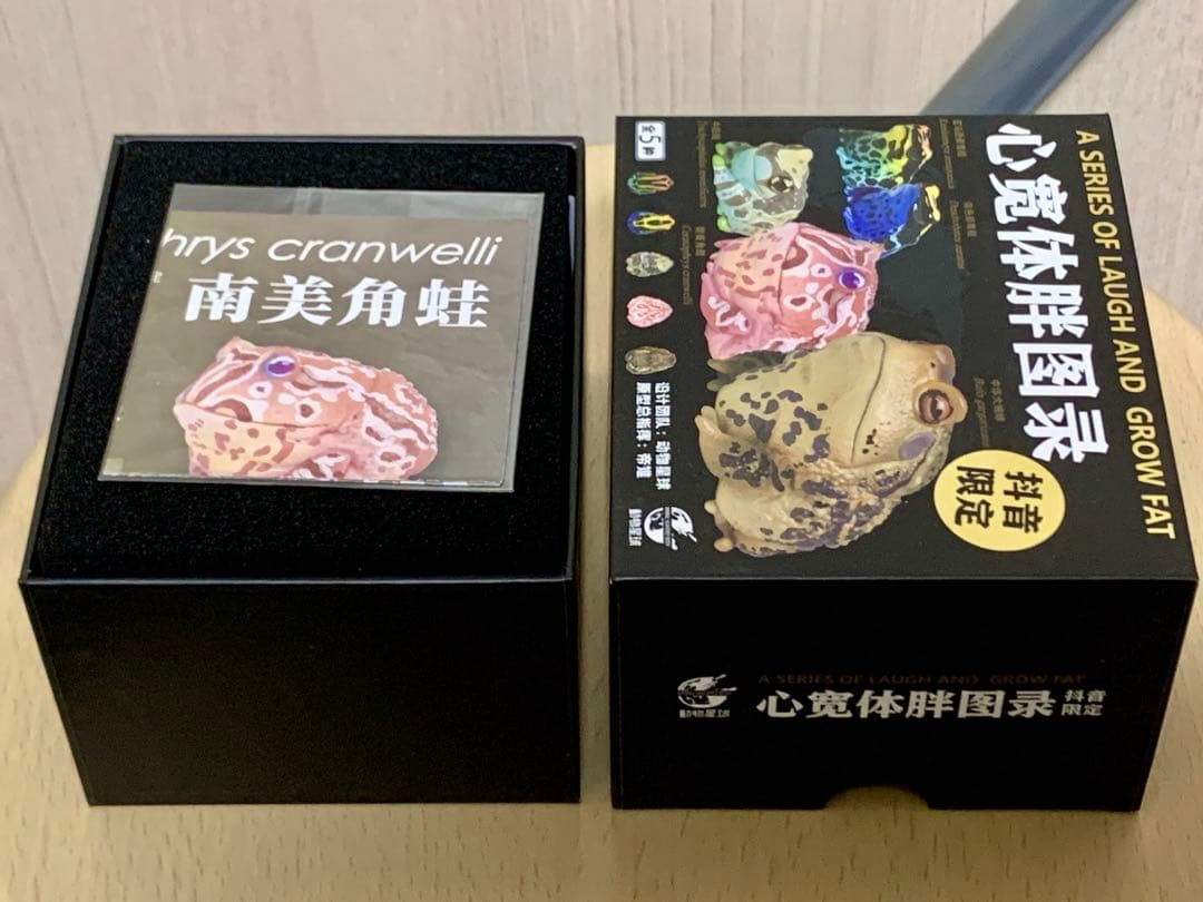 動物の惑星　クランウェルツノガエル　南美角蛙　Cranwelli