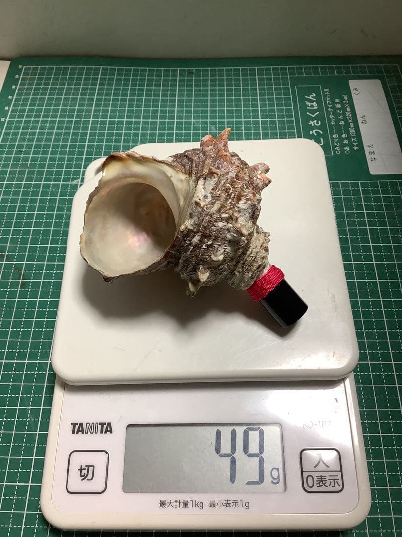 ヤフメリ7・法螺貝・山伏・修験者・金峯山・羽黒山・戦国武将・安全登山・熊除け笛