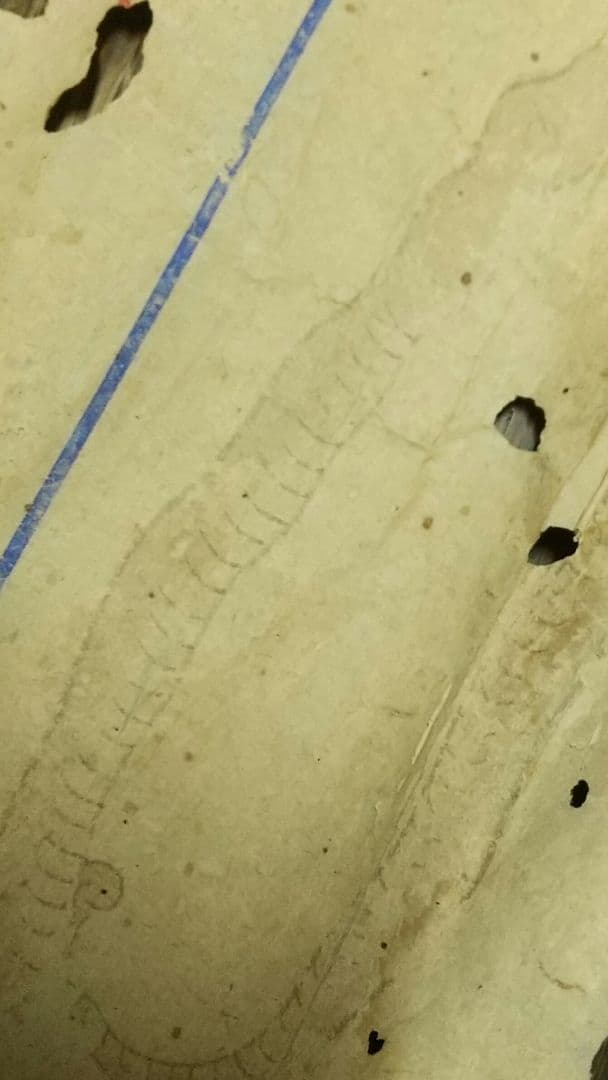 古文書まくり　疳の虫など　妖怪　鍼灸漢方